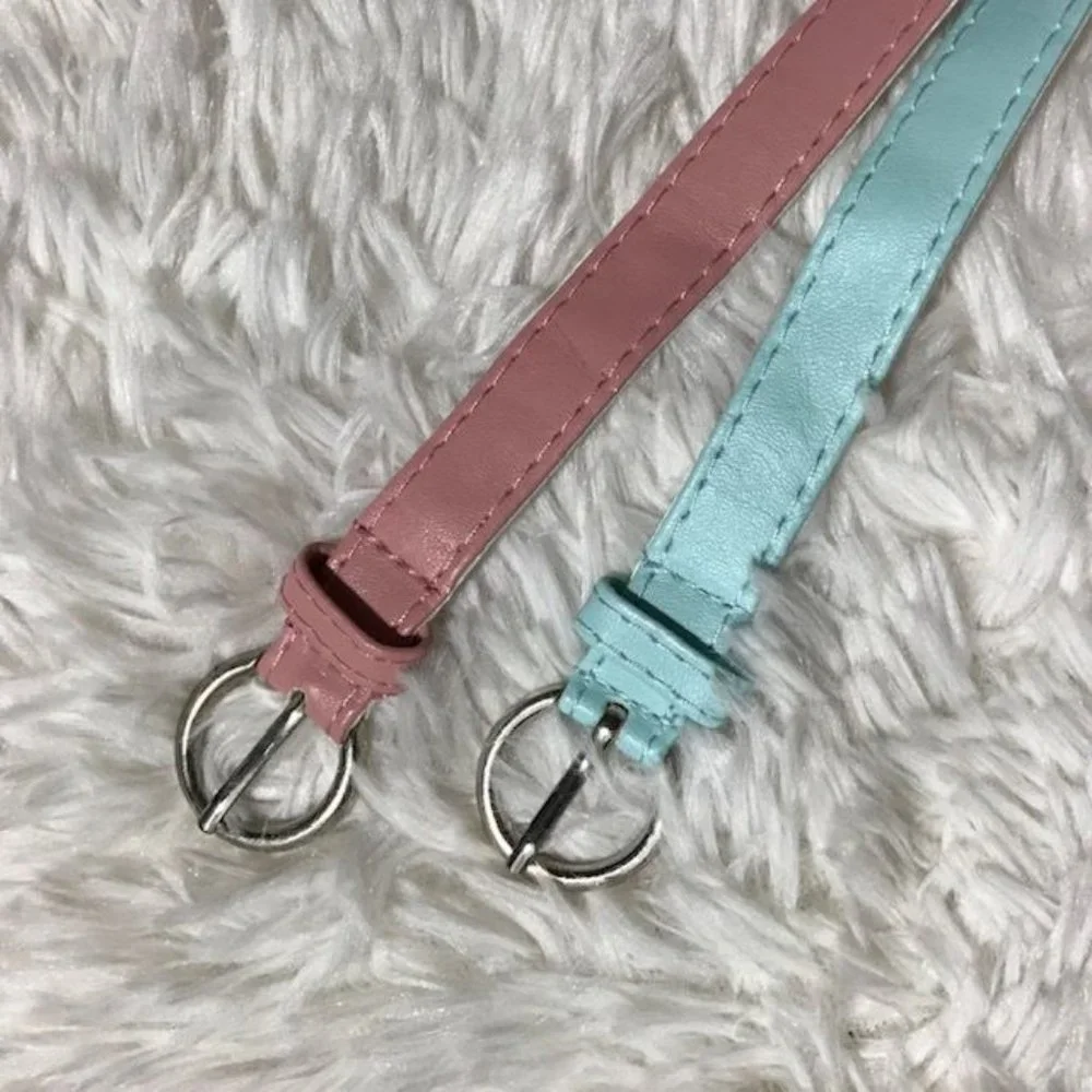 Set of 2 Pink Aqua Vegan Leather Gold Embroidered Fashion Belts